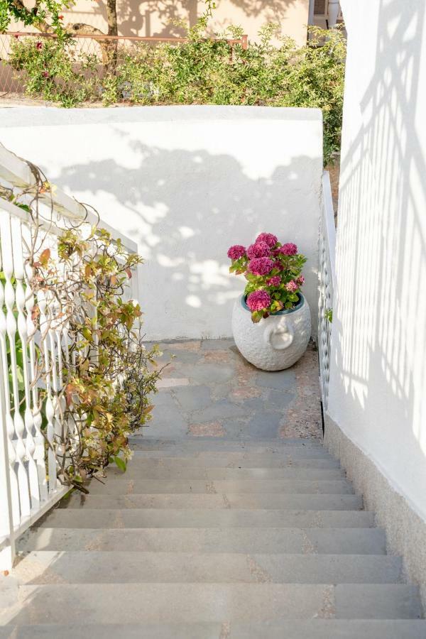 Apartment Zen Grebaštica Dış mekan fotoğraf